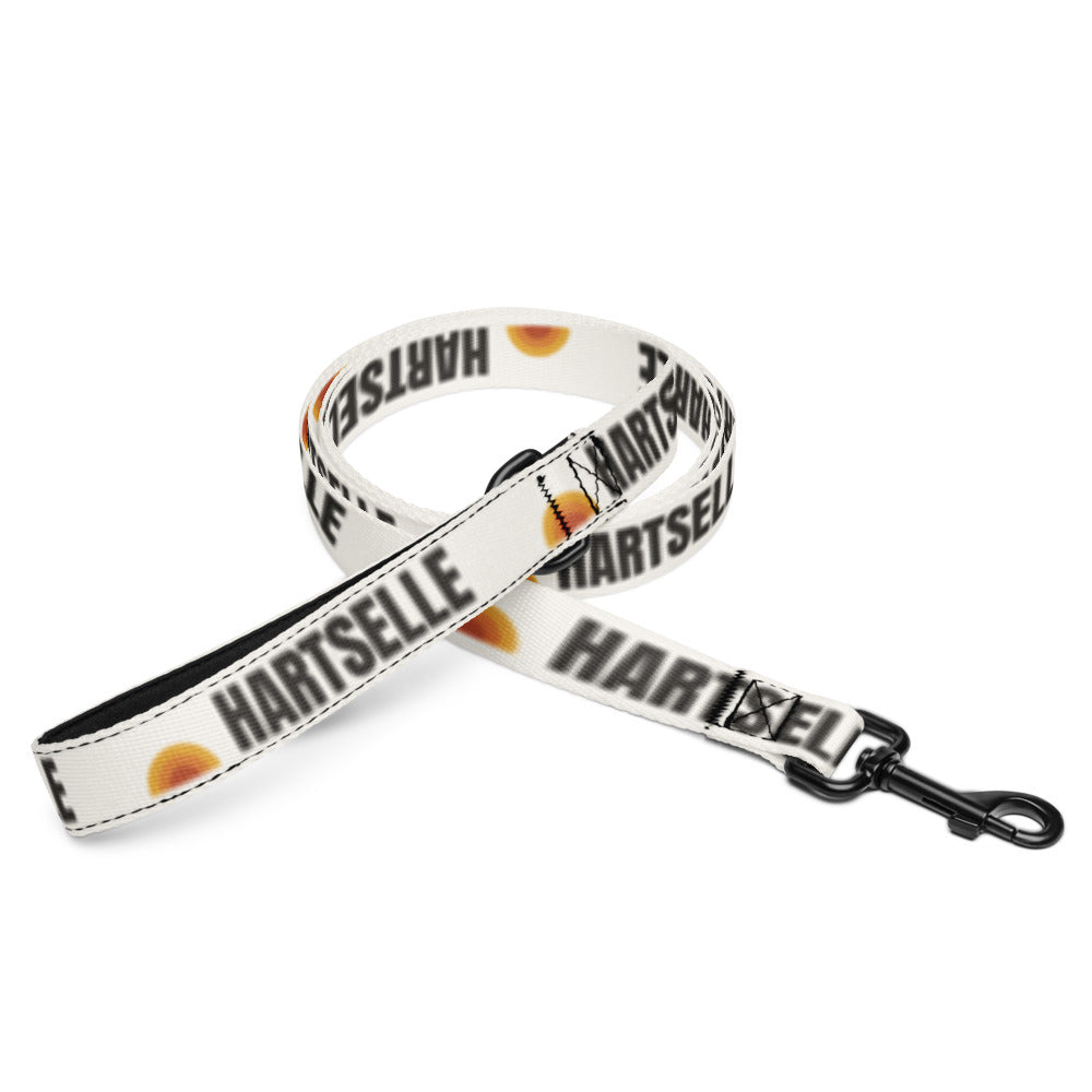 Hartselle Pet Leash with repeating retro design