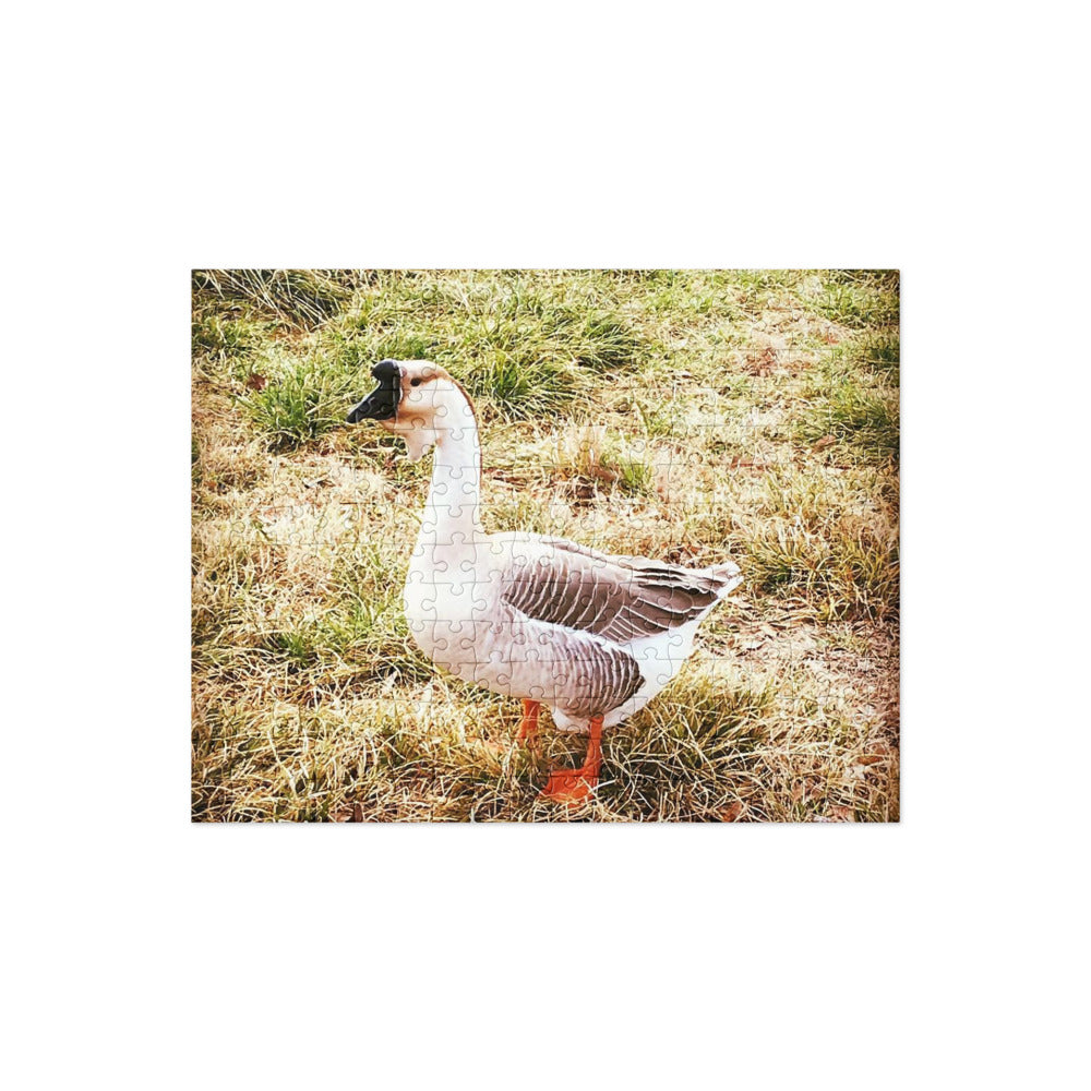 Jeff the Goose Puzzle