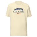 Hartselle Varsity Tee — HARTSELLE ALABAMA arch with stars, enlarged